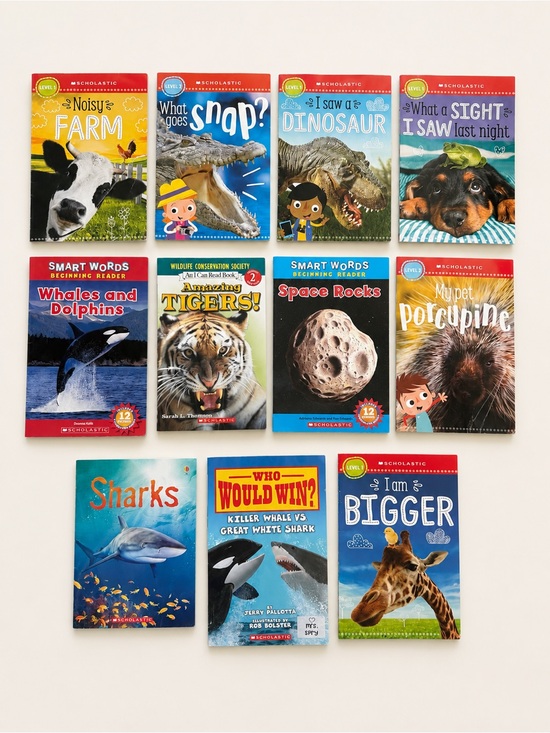 Scholastic Other - Kids Books - 11 Pieces